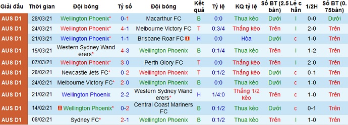Nhận định Wellington Phoenix vs Melbourne City, 16h10 ngày 5/4 - Ảnh 2