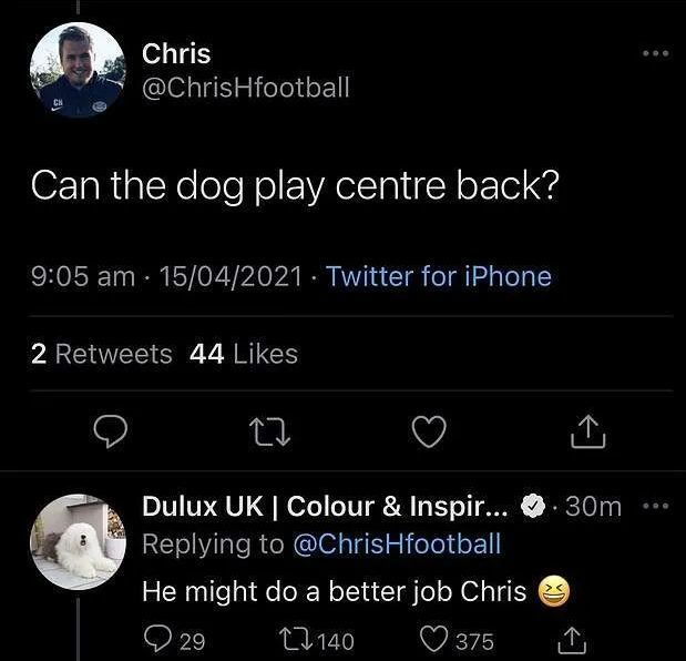 Nh&agrave; t&agrave;i trợ Tottenham cợt nhả: Ch&oacute; c&ograve;n đ&aacute; hay hơn họ - Ảnh 3