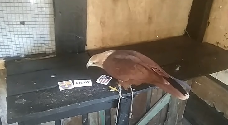 Tiên tri đại bàng dự đoán Barcelona vs Atletico Madrid, 22h15 ngày 6/2 - Ảnh 6