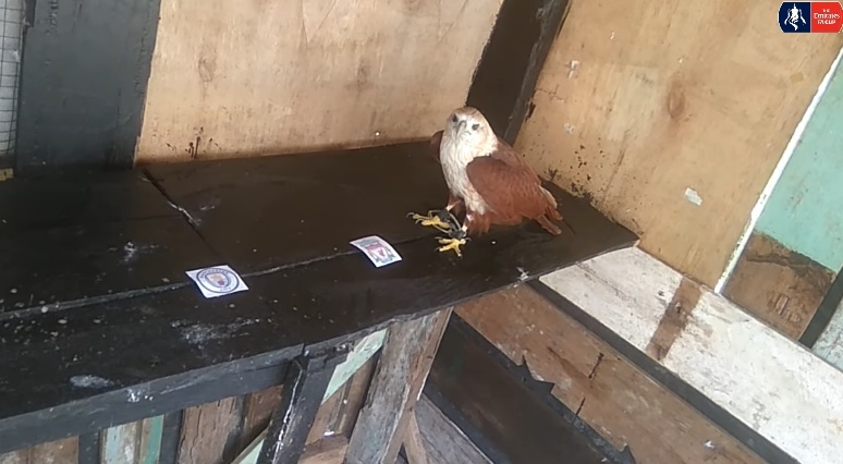 Tiên tri đại bàng dự đoán Man City vs Liverpool, 21h30 ngày 16/4 - Ảnh 1