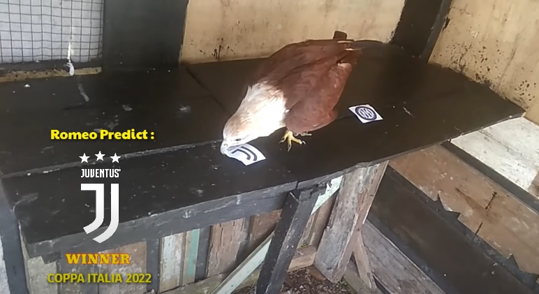 Tiên tri đại bàng dự đoán Juventus vs Inter Milan, 2h ngày 12/5 - Ảnh 4