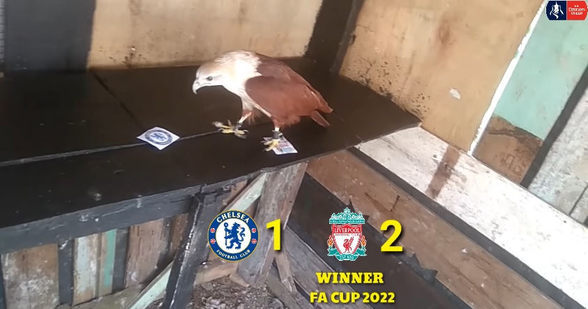 Tiên tri đại bàng dự đoán Liverpool vs Chelsea, 22h45 ngày 14/5 - Ảnh 6