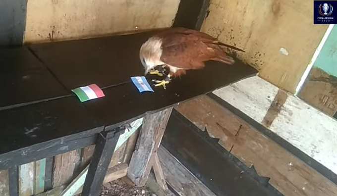 Tiên tri đại bàng dự đoán Italia vs Argentina, 1h45 ngày 2/6 - Ảnh 1