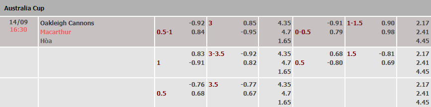 Soi kèo, dự đoán Macao Oakleigh Cannons vs Macarthur, 16h30 ngày 14/9 - Ảnh 1