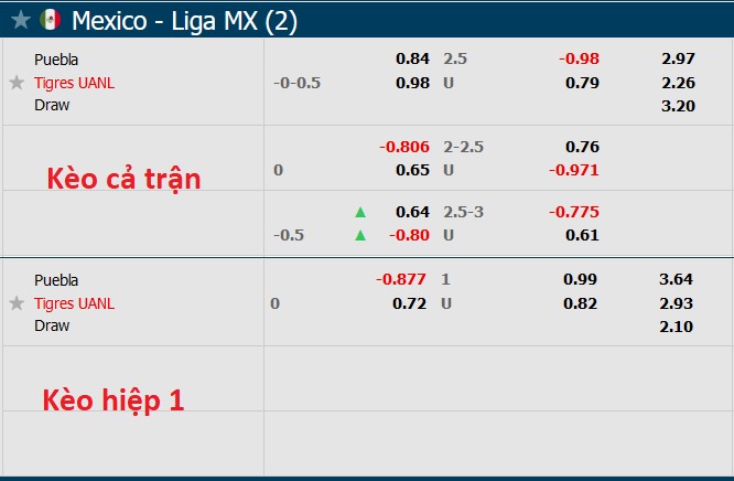 Nhận định, soi kèo Puebla vs Tigres UANL, 7h ngày 17/9 - Ảnh 5