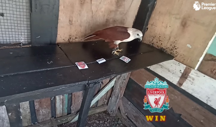 Tiên tri đại bàng dự đoán Arsenal vs Liverpool, 22h30 ngày 9/10 - Ảnh 1