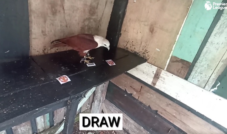 Tiên tri đại bàng dự đoán MU vs West Ham, 23h15 ngày 30/10 - Ảnh 1