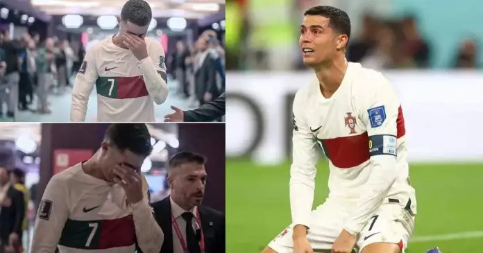 Georgina Rodriguez kh&ocirc;ng tiếc lời chỉ tr&iacute;ch HLV tuyển Bồ Đ&agrave;o Nha - Ảnh 1