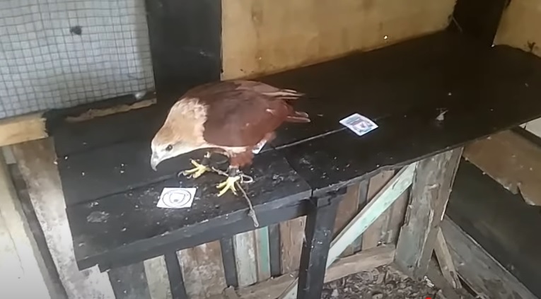 Tiên tri đại bàng dự đoán Man City vs Liverpool, 3h ngày 23/12 - Ảnh 1