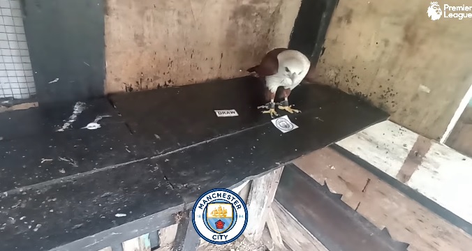 Tiên tri đại bàng dự đoán Chelsea vs Man City, 3h ngày 6/1 - Ảnh 1