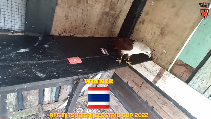 Tiên tri đại bàng dự đoán Thái Lan vs Việt Nam, 19h30 ngày 16/1 - Ảnh 1