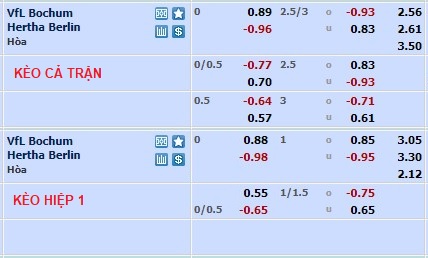 Nhận định, soi kèo Bochum vs Hertha, 21h30 ngày 21/1 - Ảnh 1