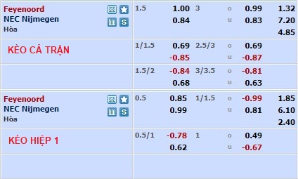 Soi kèo tài xỉu Feyenoord vs NEC hôm nay, 3h ngày 9/2 - Ảnh 1