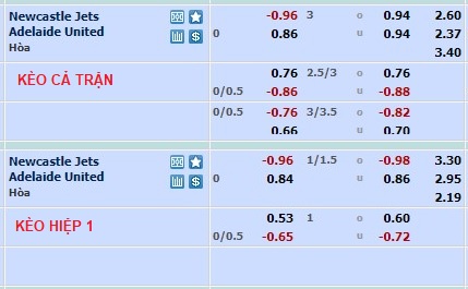 Nhận định, soi kèo Newcastle Jets vs Adelaide, 15h45 ngày 11/3 - Ảnh 1