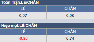 Soi kèo chẵn/ lẻ Newcastle vs Wolves, 23h30 ngày 12/3 - Ảnh 1