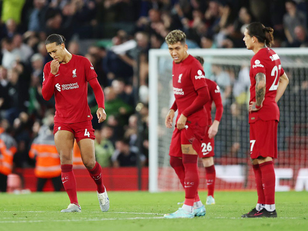 Ferdinand l&agrave;m r&otilde; nguy&ecirc;n nh&acirc;n khiến Van Dijk tụt dốc kh&ocirc;ng phanh - Ảnh 2