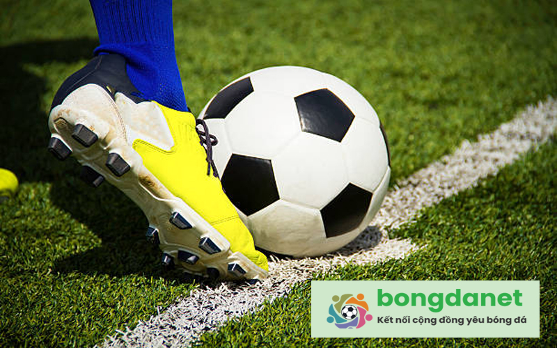 M&aacute;y t&iacute;nh dự đo&aacute;n - Ảnh 2