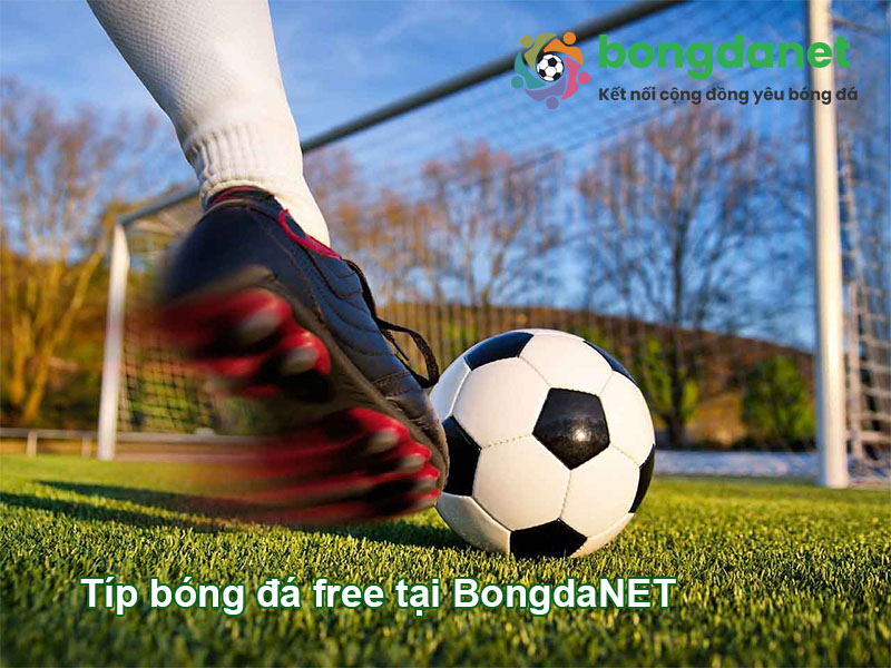 Tip b&oacute;ng đ&aacute; miễn ph&iacute; tại BongdaNET