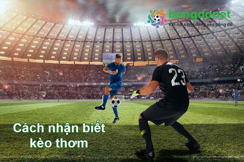 C&aacute;ch nhận biết khi n&agrave;o k&egrave;o thơm xuất hiện