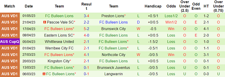 Nhận định, soi kèo Dandenong City SC vs FC Bulleen Lions, 16h45 ngày 5/5 - Ảnh 2