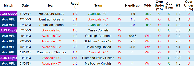 Nhận định, soi kèo Avondale FC vs Port Melbourne Sharks, 12h00 ngày 20/5 - Ảnh 1