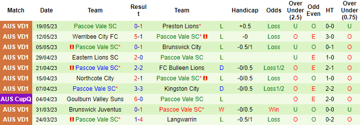 Nhận định, soi kèo Dandenong City vs Pascoe Vale SC, 16h45 ngày 26/5 - Ảnh 2