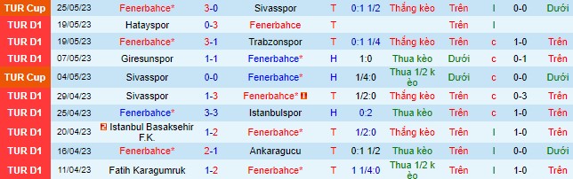 Nhận định, soi kèo Fenerbahce vs Antalyaspor, 00h00 ngày 31/5 - Ảnh 2