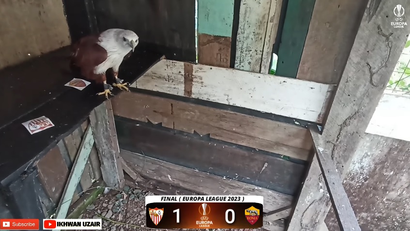 Đại bàng Romeu dự đoán kết quả Sevilla vs Roma, 02h00 ngày 1/6 - Ảnh 1