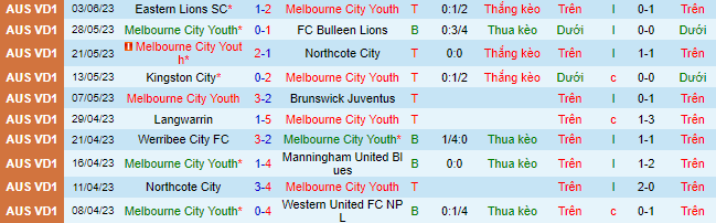 Nhận định, soi kèo Melbourne City Youth vs Brunswick City, 12h00 ngày 10/6 - Ảnh 2