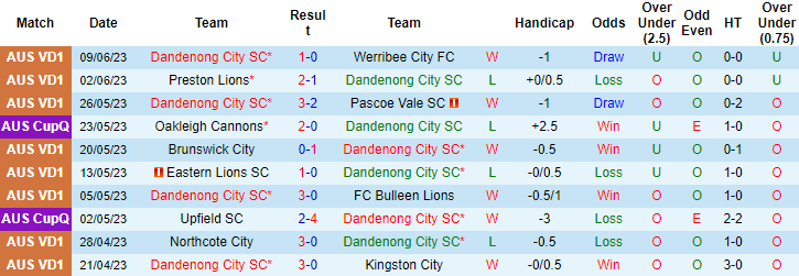 Nhận định, soi kèo Dandenong City SC vs Western United B, 16h45 ngày 16/6 - Ảnh 1