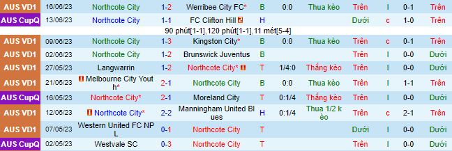 Nhận định, soi kèo Northcote City vs Bulleen Lions, 17h30 ngày 23/6 - Ảnh 2