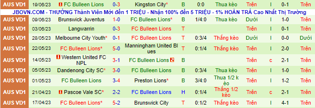 Nhận định, soi kèo Northcote City vs Bulleen Lions, 17h30 ngày 23/6 - Ảnh 3