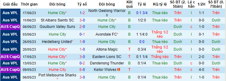 Nhận định, soi kèo Hume City vs Oakleigh Cannons, 15h30 ngày 24/6 - Ảnh 1
