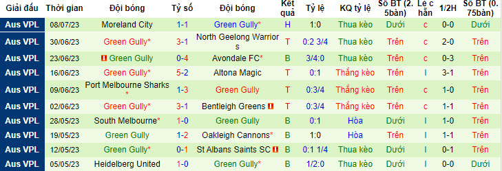 Nhận định, soi kèo Hume City vs Green Gully, 15h30 ngày 15/7 - Ảnh 2