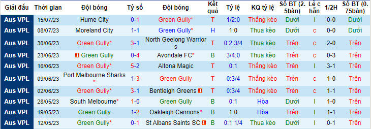 Nhận định, soi kèo Green Gully vs Melbourne Knights, 17h ngày 21/7 - Ảnh 1