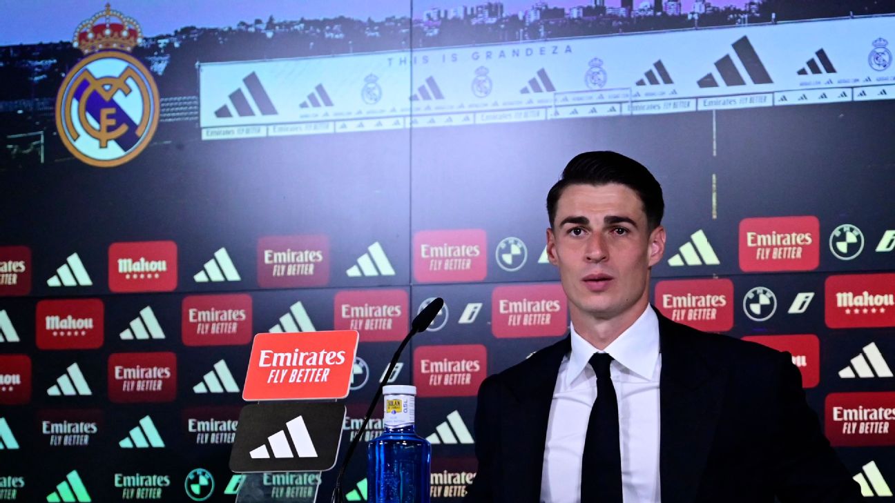 Người đ&oacute;ng thế: 