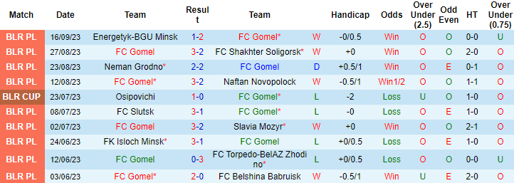 Nhận định, soi kèo Gomel vs FC Minsk, 21h30 ngày 22/9 - Ảnh 1