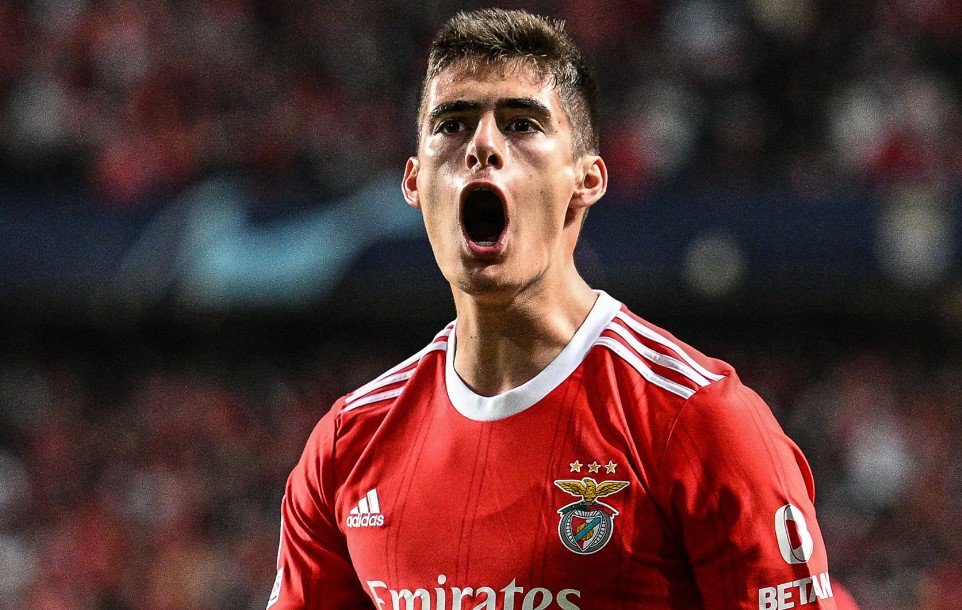 V&aacute; h&agrave;ng thủ, M.U 