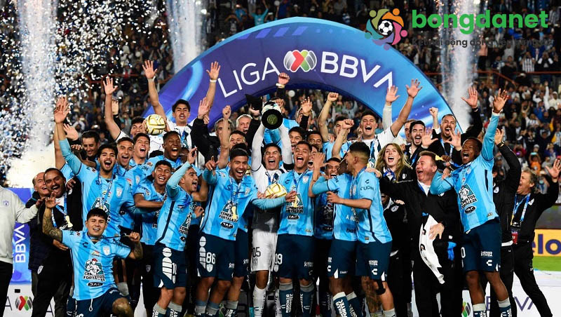 Th&ocirc;ng tin soi k&egrave;o b&oacute;ng đ&aacute; Mexico được ph&acirc;n t&iacute;ch tr&ecirc;n những th&ocirc;ng số khoa học