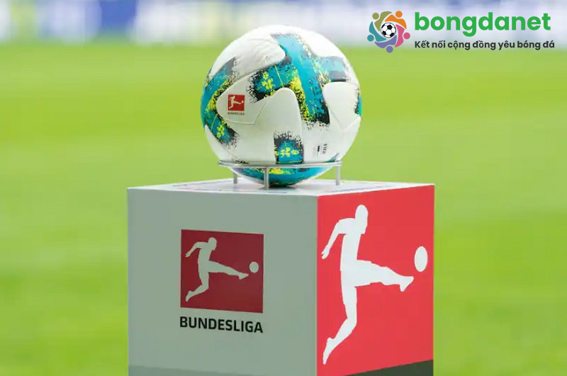 Nhận định b&oacute;ng đ&aacute; Đức được nhiều người h&acirc;m mộ quan t&acirc;m t&igrave;m kiếm