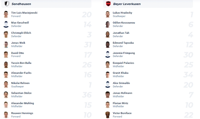 Nhận định, soi kèo Sandhausen vs Leverkusen, 0h00 ngày 2/11 - Ảnh 5