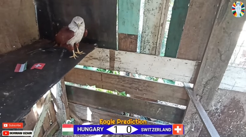 Đại bàng dự đoán Hungary vs Thụy Sĩ, 20h00 ngày 15/6 - Ảnh 1