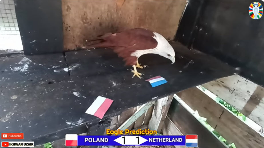 Đại bàng dự đoán Italia vs Albania, 20h00 ngày 16/6 - Ảnh 1