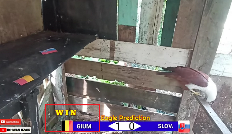 Đại bàng Romeo dự đoán Bỉ vs Slovakia, 23h00 ngày 17/6 - Ảnh 2