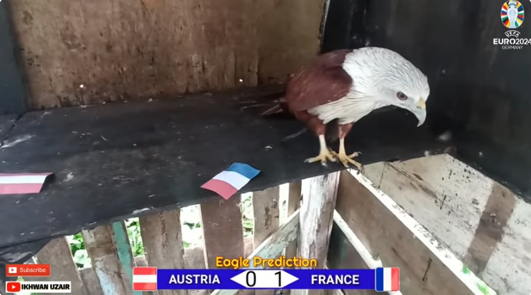 Đại bàng tiên tri dự đoán Áo vs Pháp, 2h00 ngày 18/6 - Ảnh 1