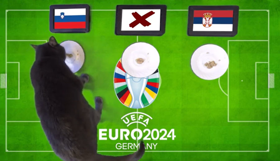 Mèo tiên tri dự đoán Slovenia vs Serbia, 20h00 ngày 20/6 - Ảnh 1