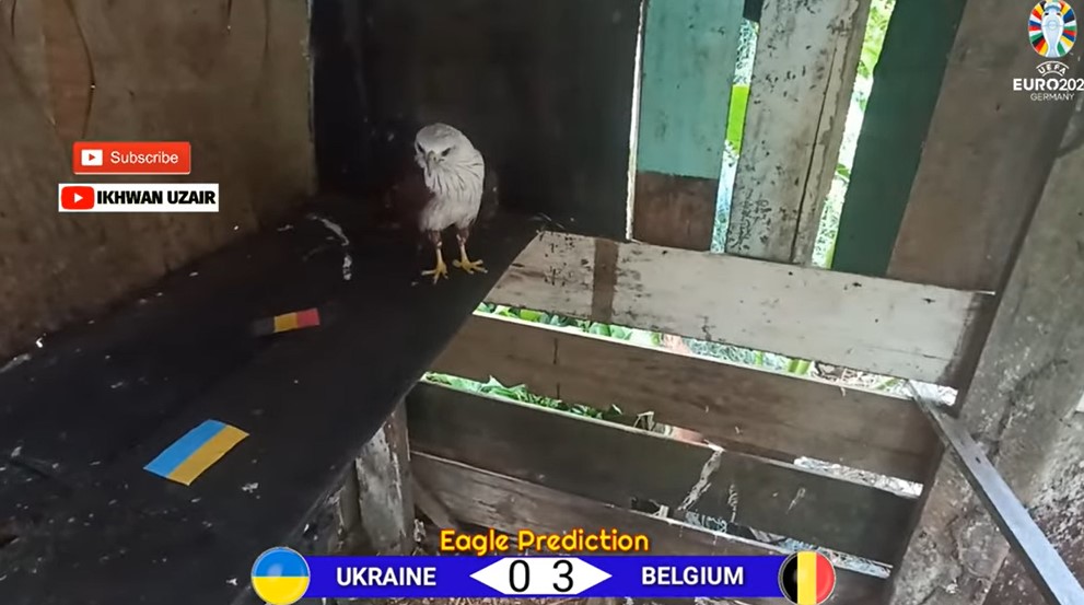 Đại bàng dự đoán Ukraine vs Bỉ, 23h00 ngày 26/6 - Ảnh 1