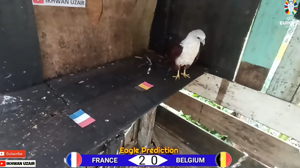 Đại bàng dự đoán Pháp vs Bỉ, 23h00 ngày 1/7 - Ảnh 1