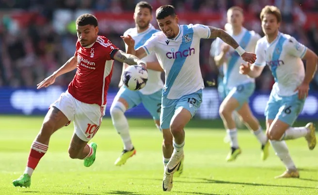 Chuy&ecirc;n gia Tony Ansell dự đo&aacute;n Nottingham vs Crystal Palace, 2h00 ng&agrave;y 22/10 - Ảnh 1