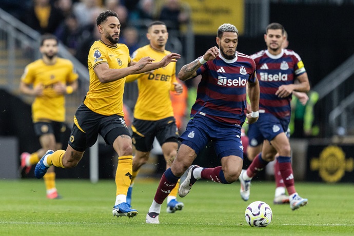 Chuy&ecirc;n gia Tony Ansell dự đo&aacute;n Newcastle vs Wolves, 2h30 ng&agrave;y 16/1 - Ảnh 2